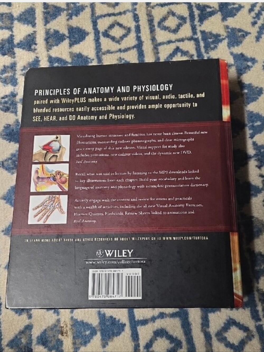 Principles of Anatomy and Physiology - Red Hardcover Textbook - Picture 3 of 5